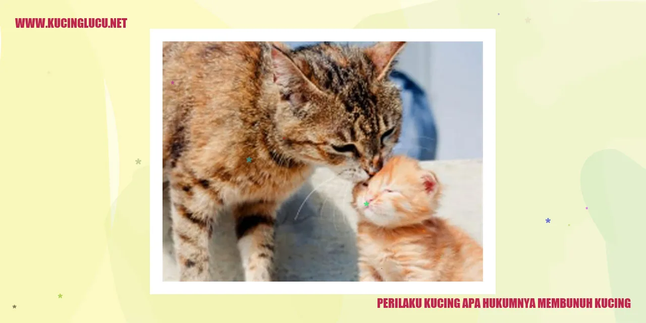 Perilaku Kucing apa hukumnya membunuh kucing