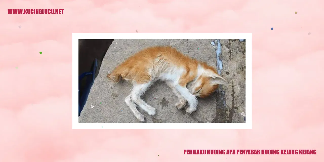 Kucing Kejang