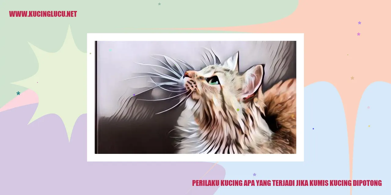 Kucing dengan kumis yang dipotong