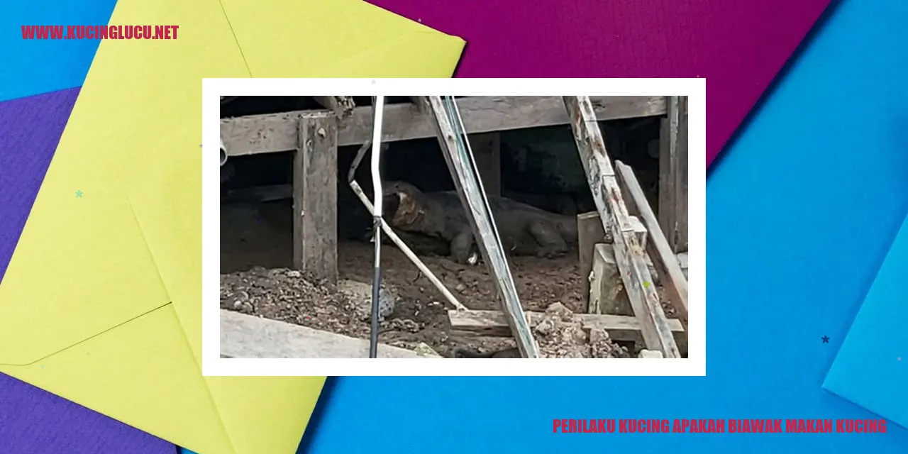 Perilaku Kucing apakah Biawak Makan Kucing