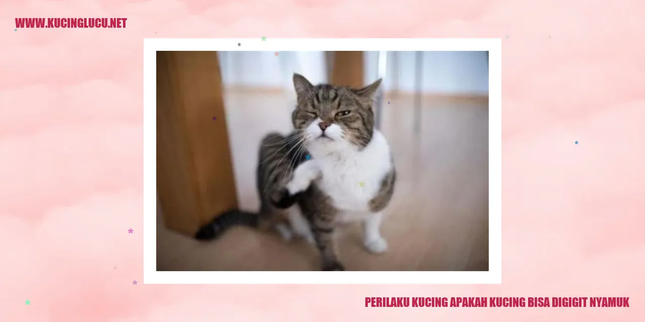 Perilaku Kucing apakah kucing bisa digigit nyamuk