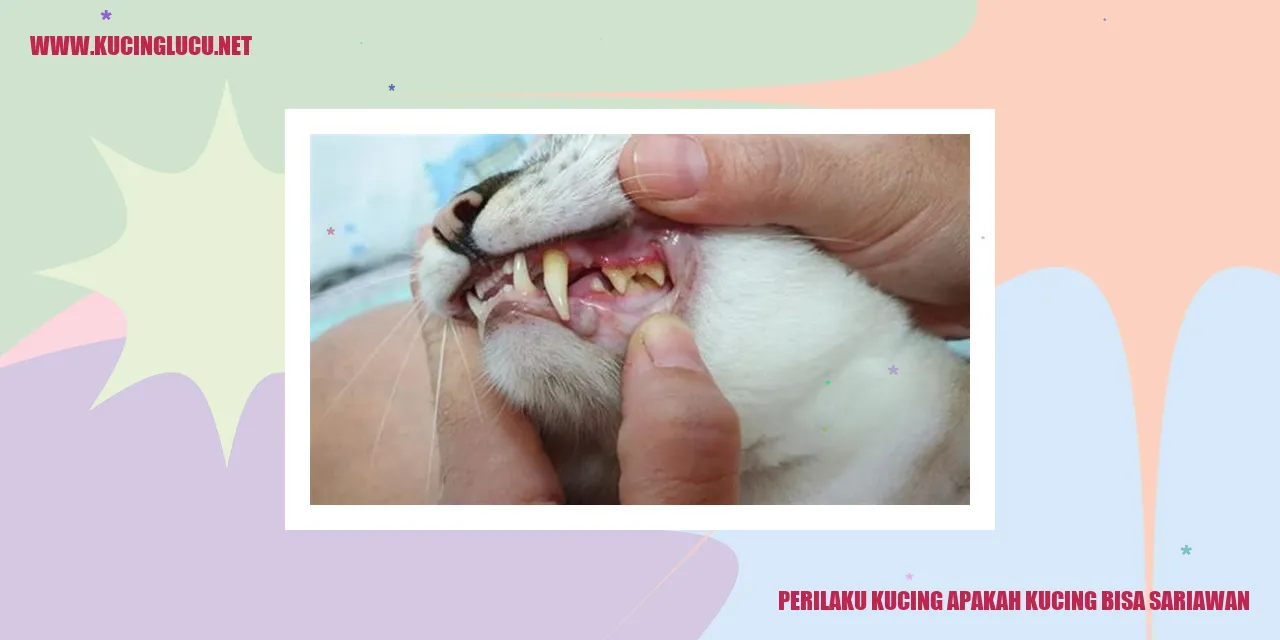 Kucing Menggaruk Kepalanya
