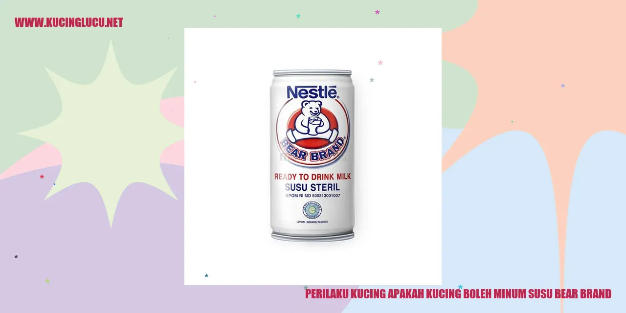 Perilaku Kucing apakah kucing boleh minum susu bear brand