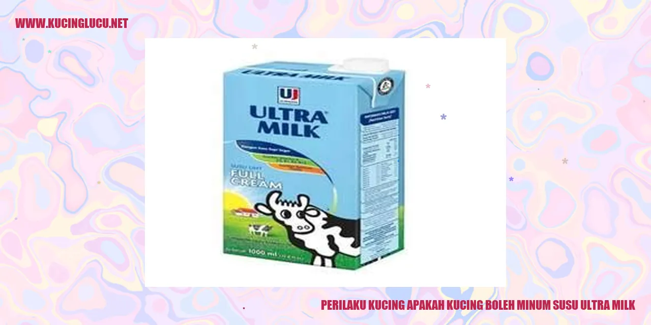 Gambar Kucing Minum Susu