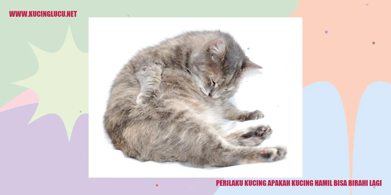 Sebuah Gambar Kucing Sedang Menjaga Anak Kucingnya
