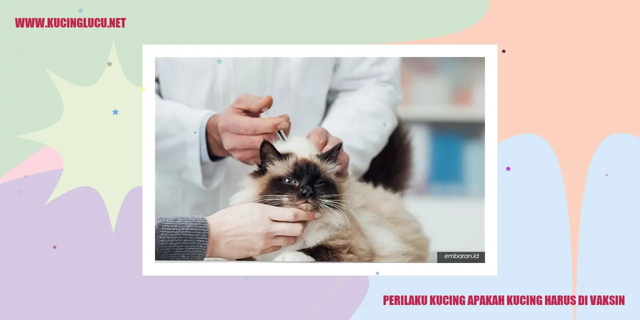 Perilaku Kucing