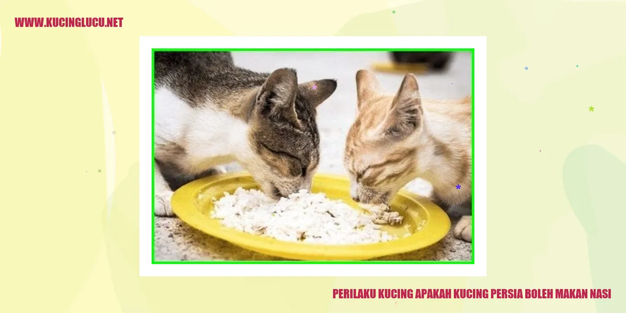 Perilaku Kucing