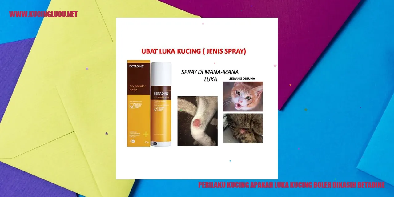 Perilaku Kucing apakah luka kucing boleh dikasih betadine