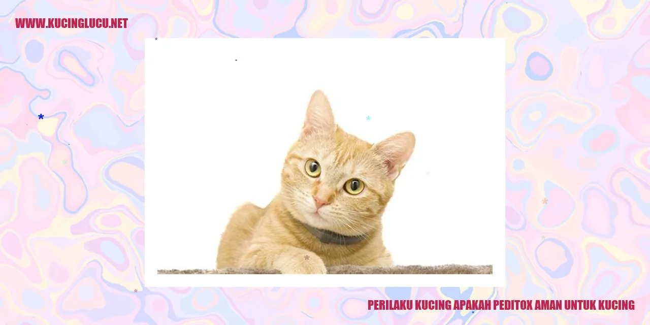Perilaku Kucing apakah peditox aman untuk kucing