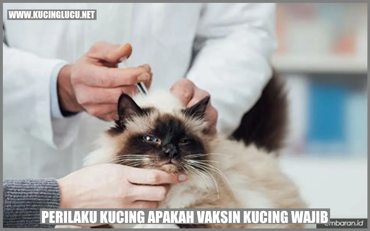 Perilaku Kucing apakah vaksin kucing wajib