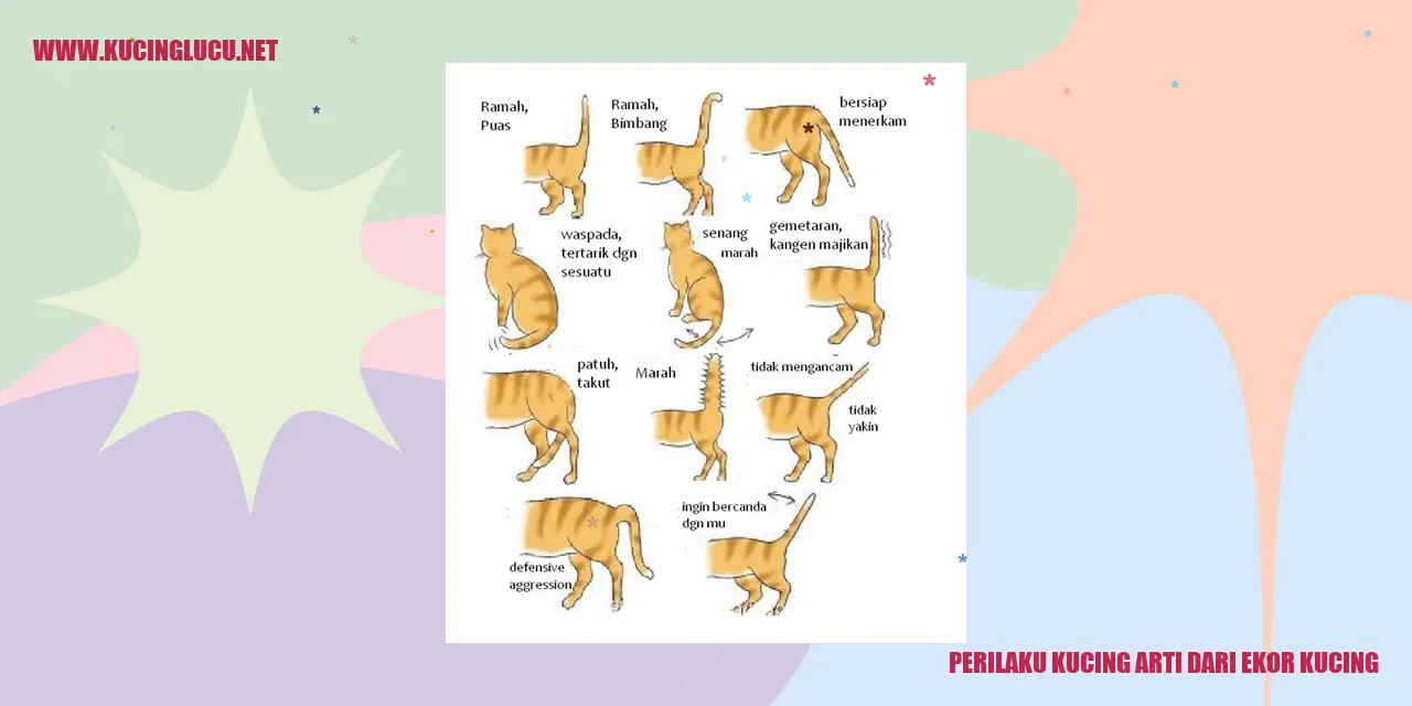 Perilaku Kucing dan Arti dari Ekor Kucing