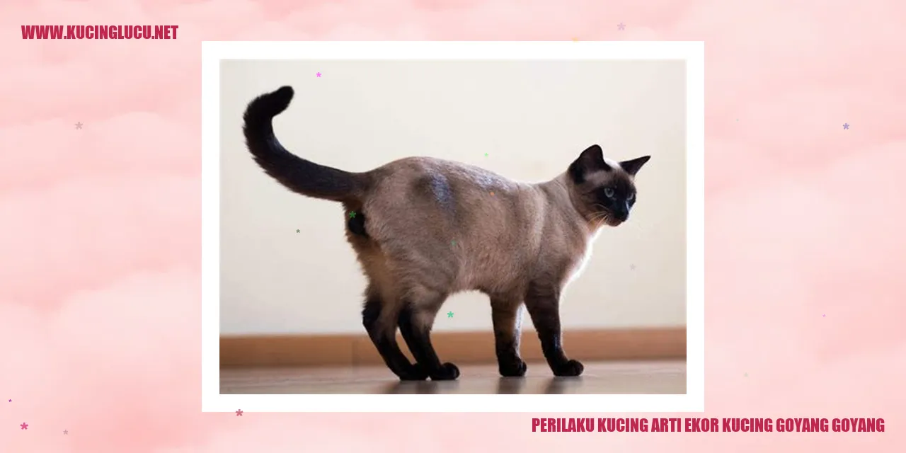 Goyang-Goyang Ekor Kucing
