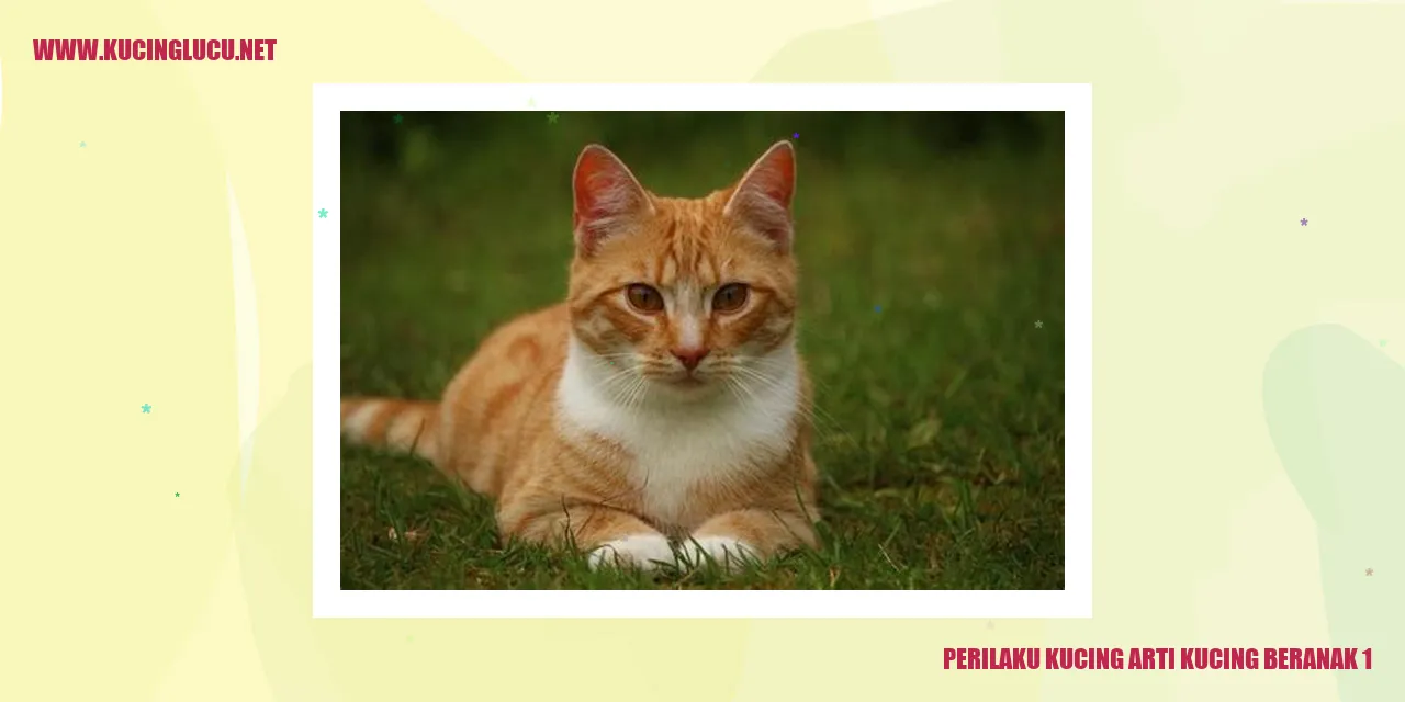 Kucing melahirkan anak kucingnya