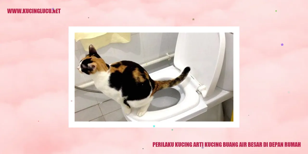 Kucing buang air besar di depan rumah
