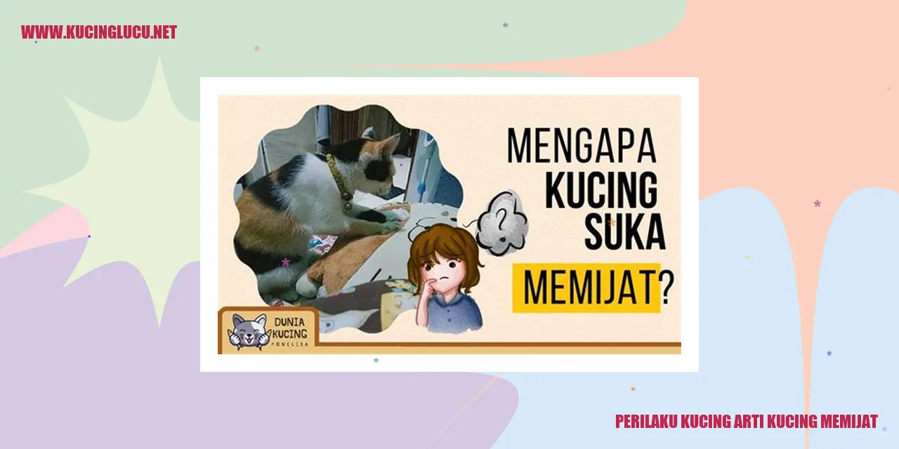 gambar kucing memijat