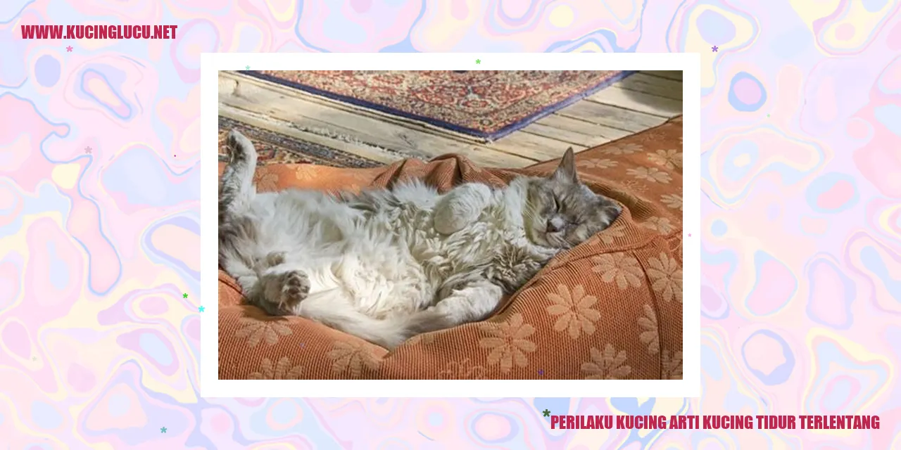 Kucing Tidur Terlentang
