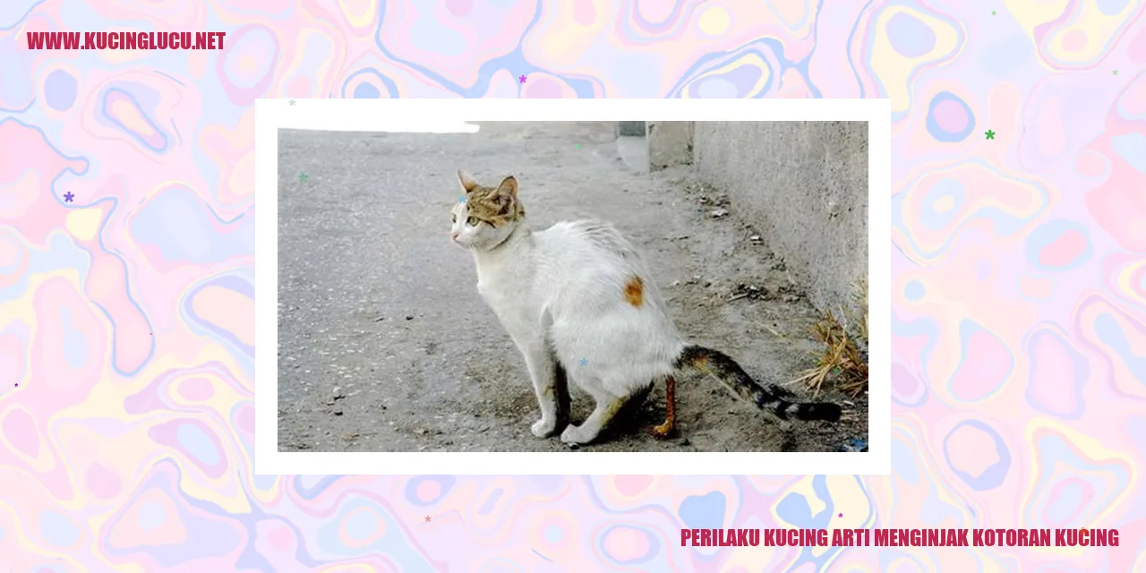 Perilaku Kucing Menginjak Kotoran Kucing