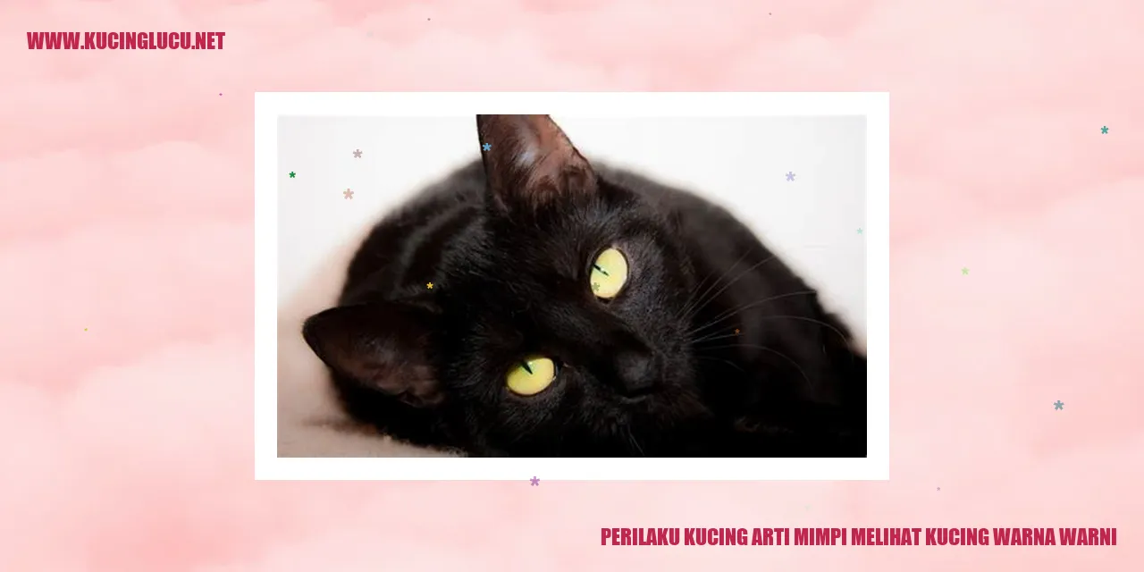 Kucing berwarna cerah