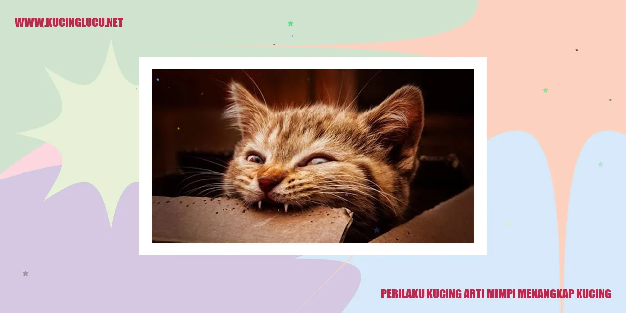 Perilaku Kucing arti mimpi menangkap kucing