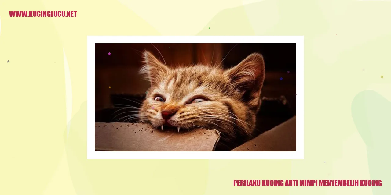 Perilaku Kucing arti mimpi menyembelih kucing