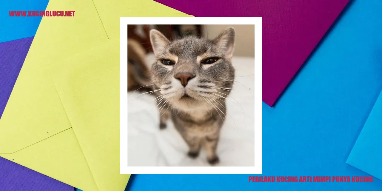 Perilaku Kucing