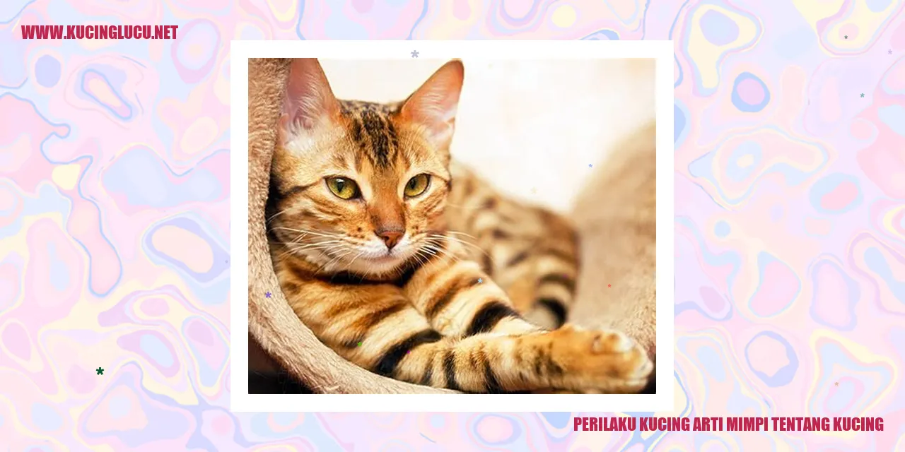 Perkara Kucing