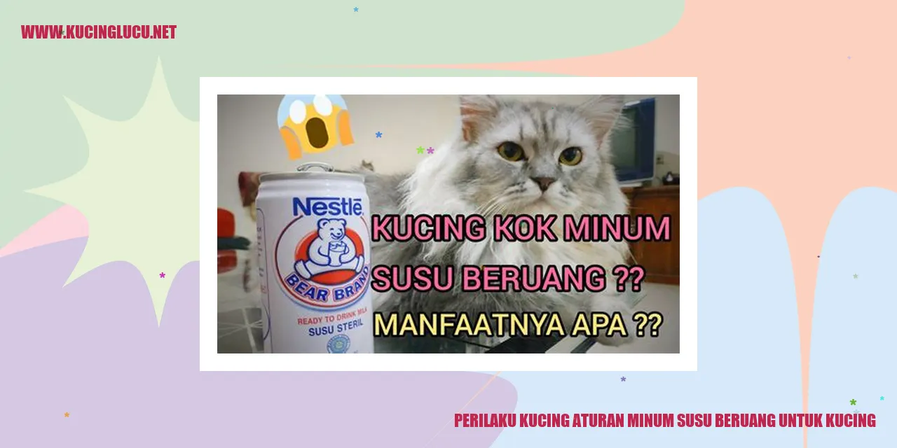 Perilaku Kucing dan Petunjuk Pemberian Susu Beruang untuk Kucing
