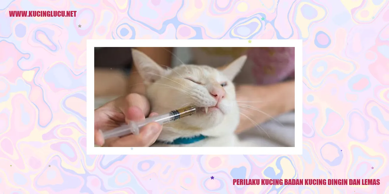 Gambar kucing lemas