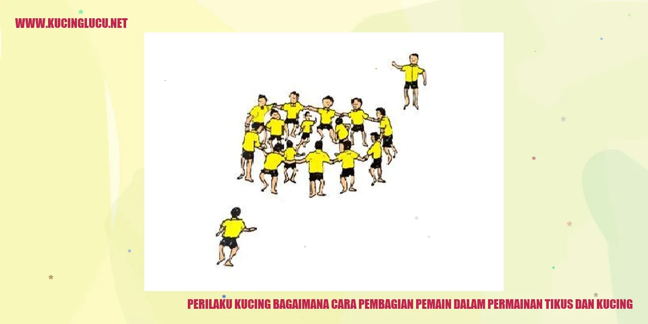 Perilaku Kucing bagaimana cara pembagian pemain dalam permainan tikus dan kucing