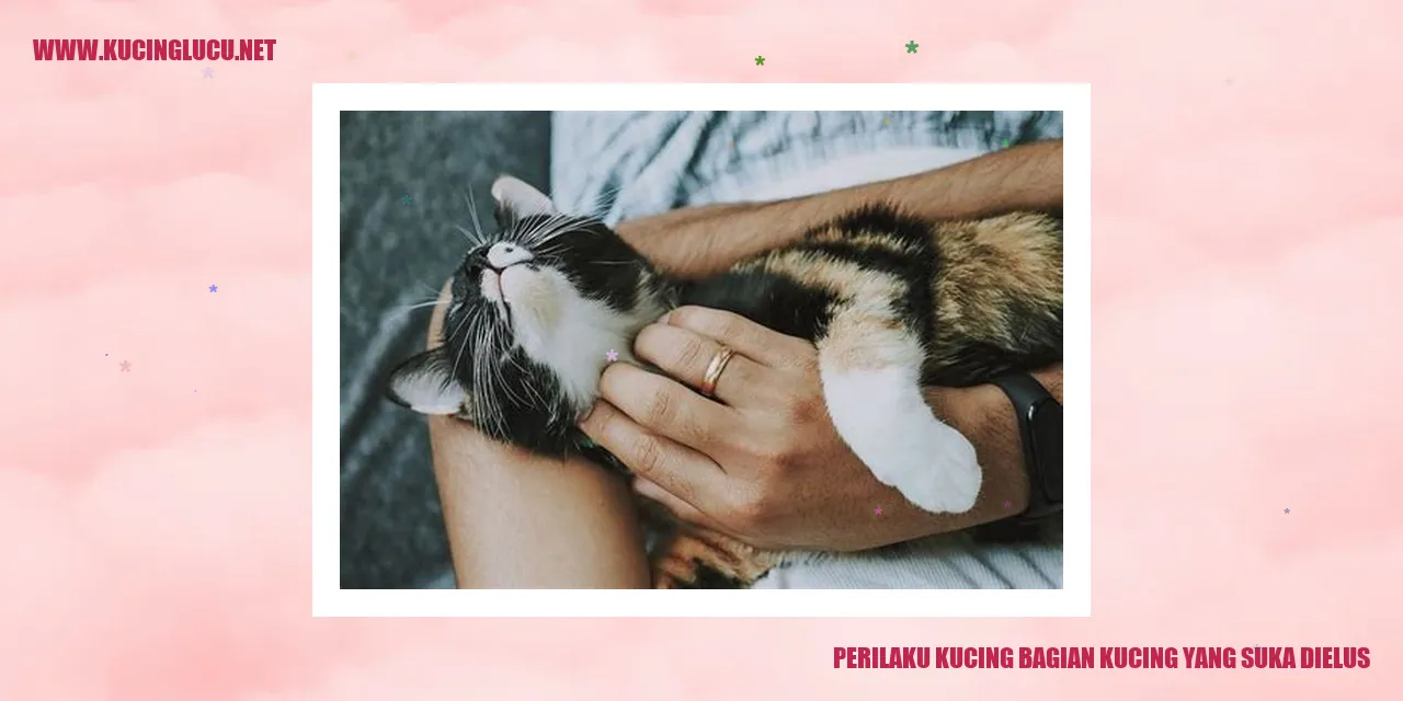 Perilaku Kucing yang Suka Dielus