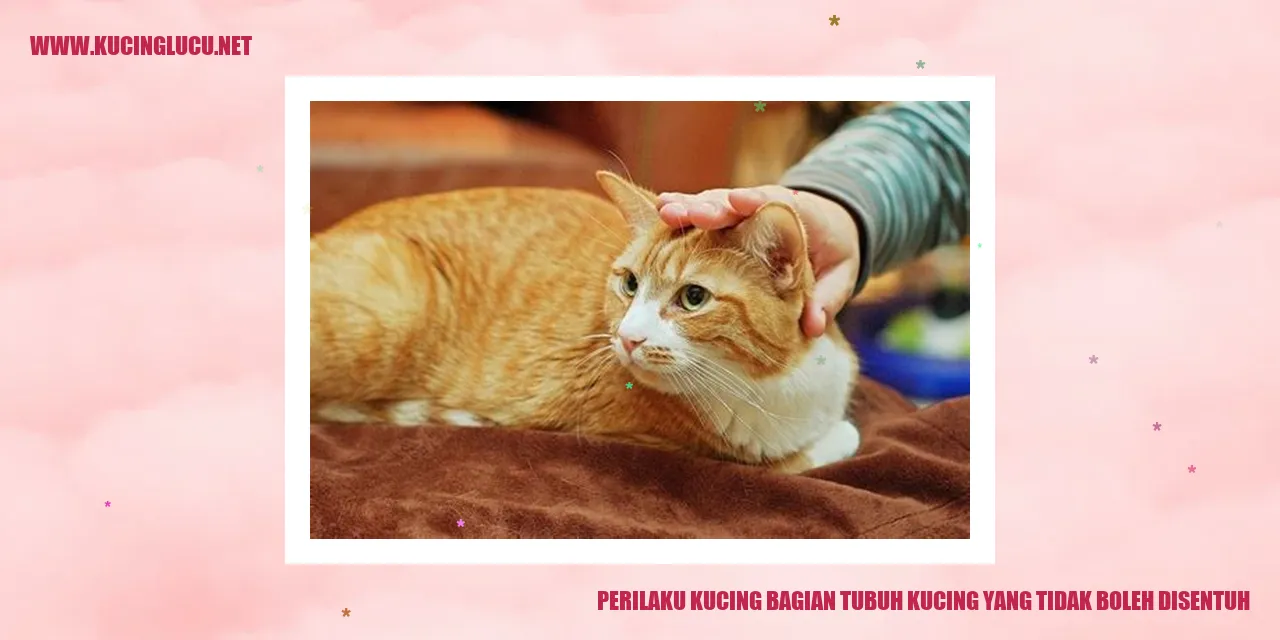 Kucing melarikan diri