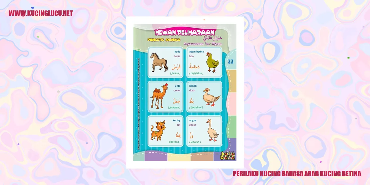 Gambar Kucing Betina