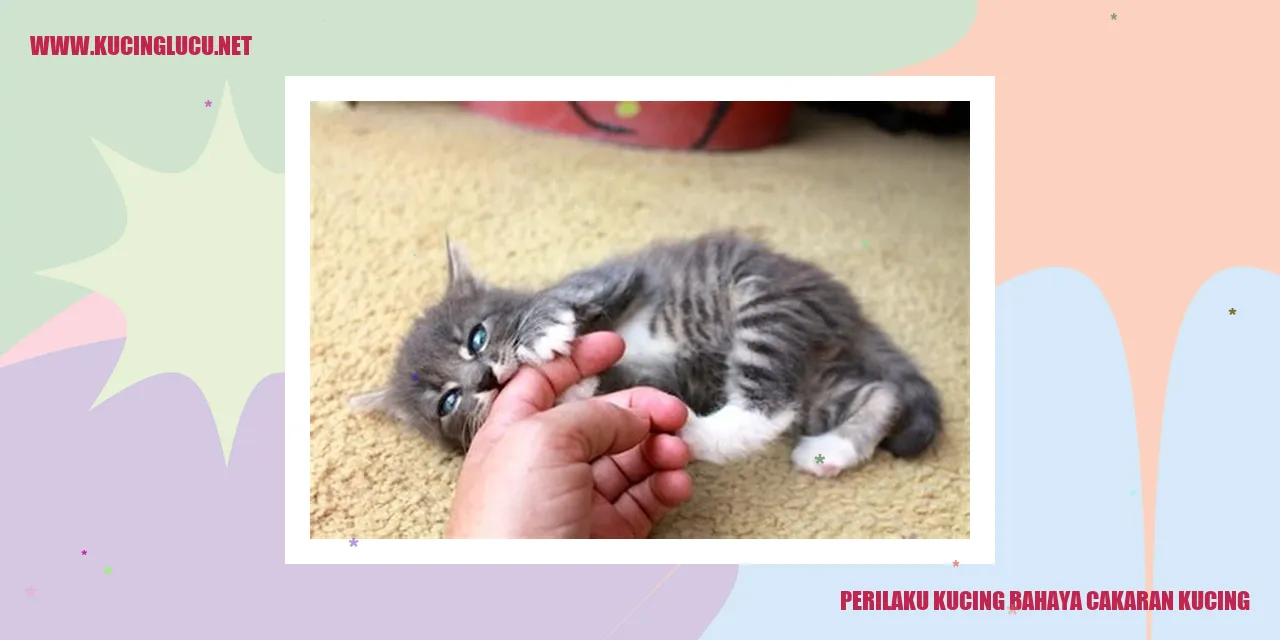 Perilaku Kucing Bahaya Cakaran Kucing