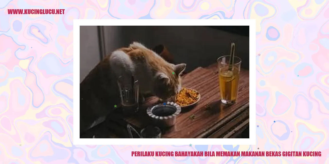 Perilaku Kucing bahayakah bila memakan makanan bekas gigitan kucing