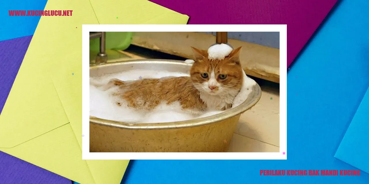 Perilaku Kucing saat Mandi