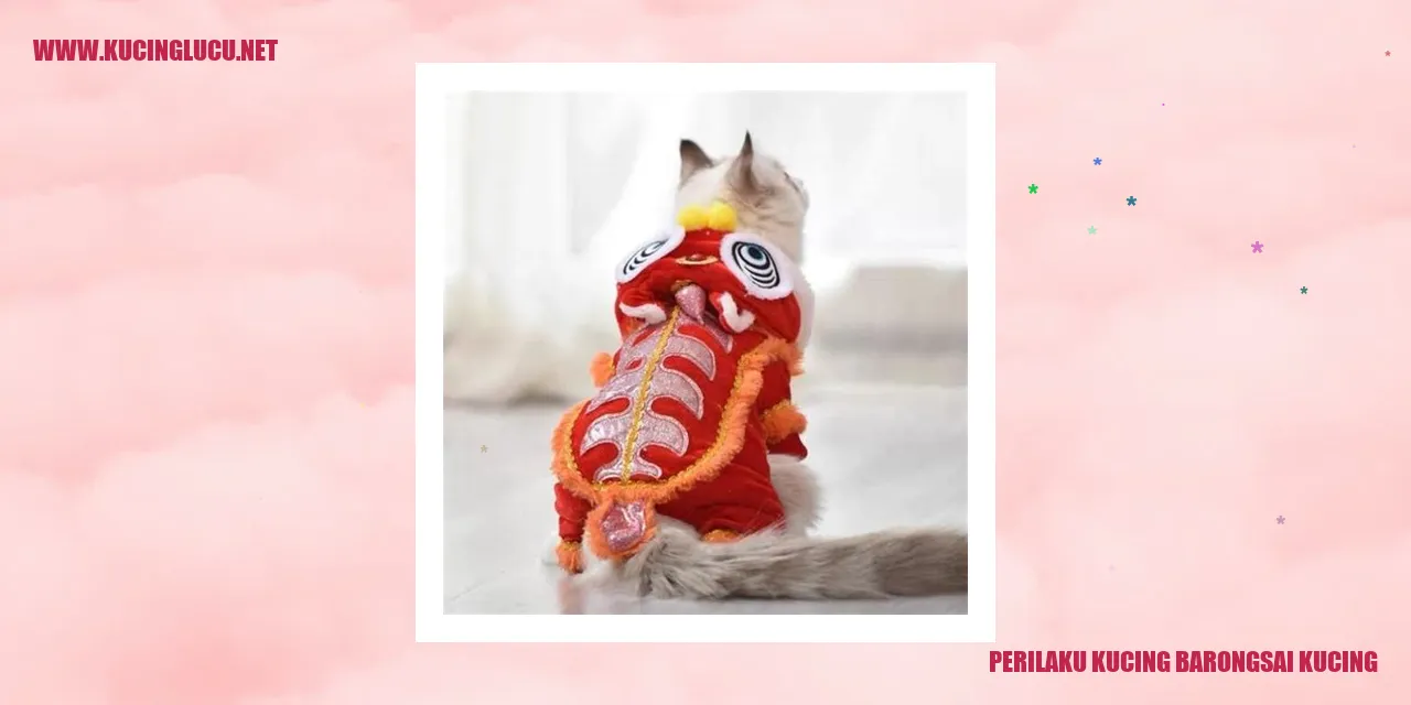 Kucing Barongsai