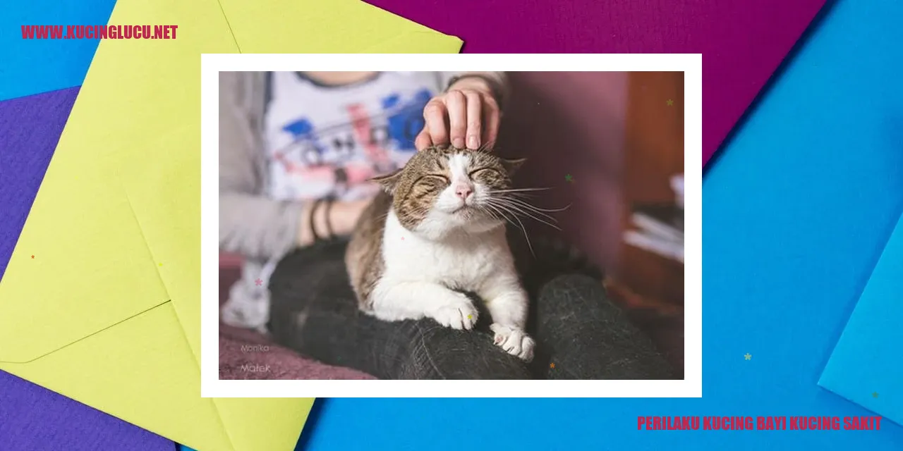 Perilaku Kucing Bayi Ketika Sakit