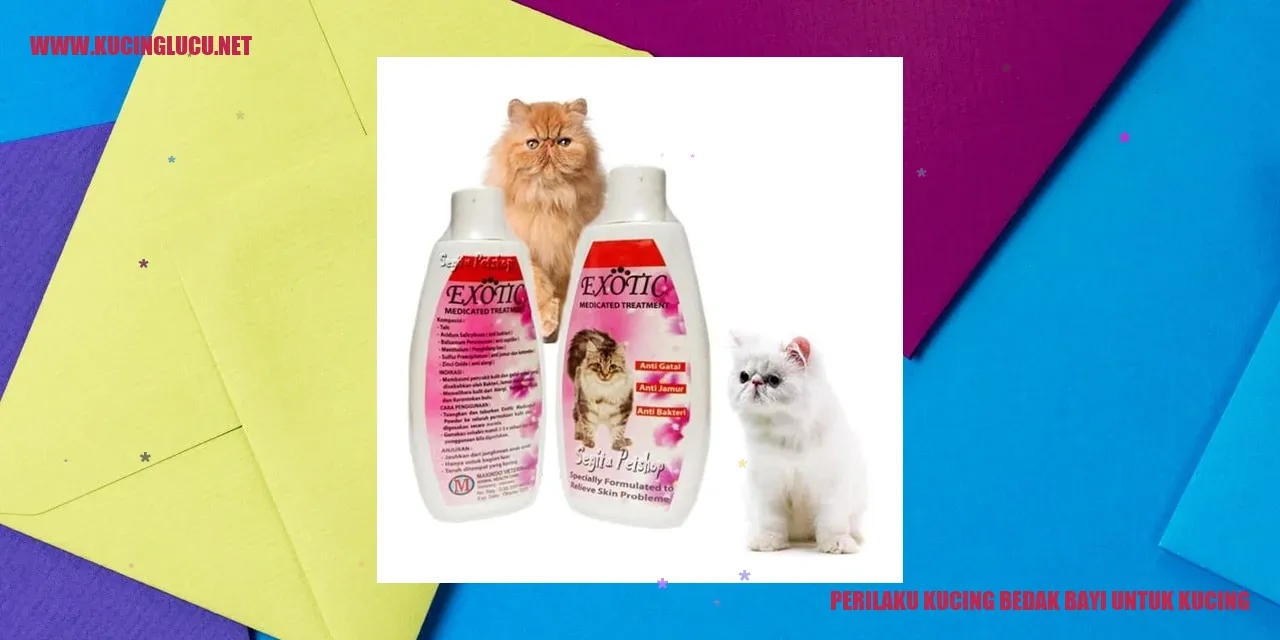 Perilaku Kucing bedak bayi untuk kucing