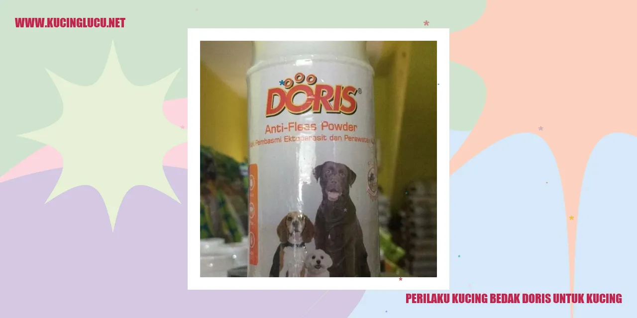Perilaku Kucing Bedak Doris untuk Kucing