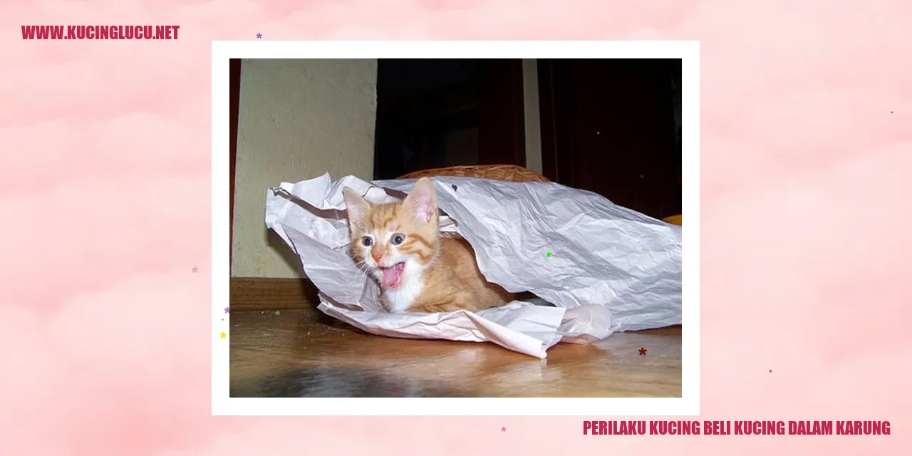 Perilaku Kucing Membeli Beliarnya di Dalam Karung