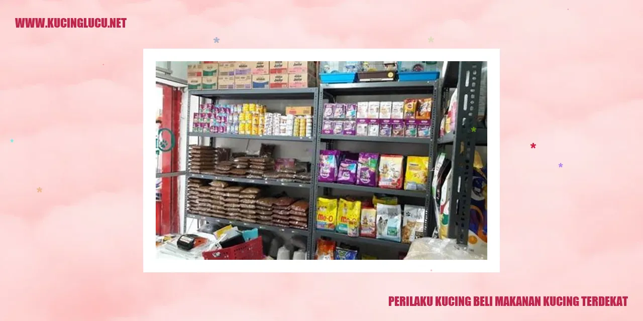 Gambar kucing yang pintar