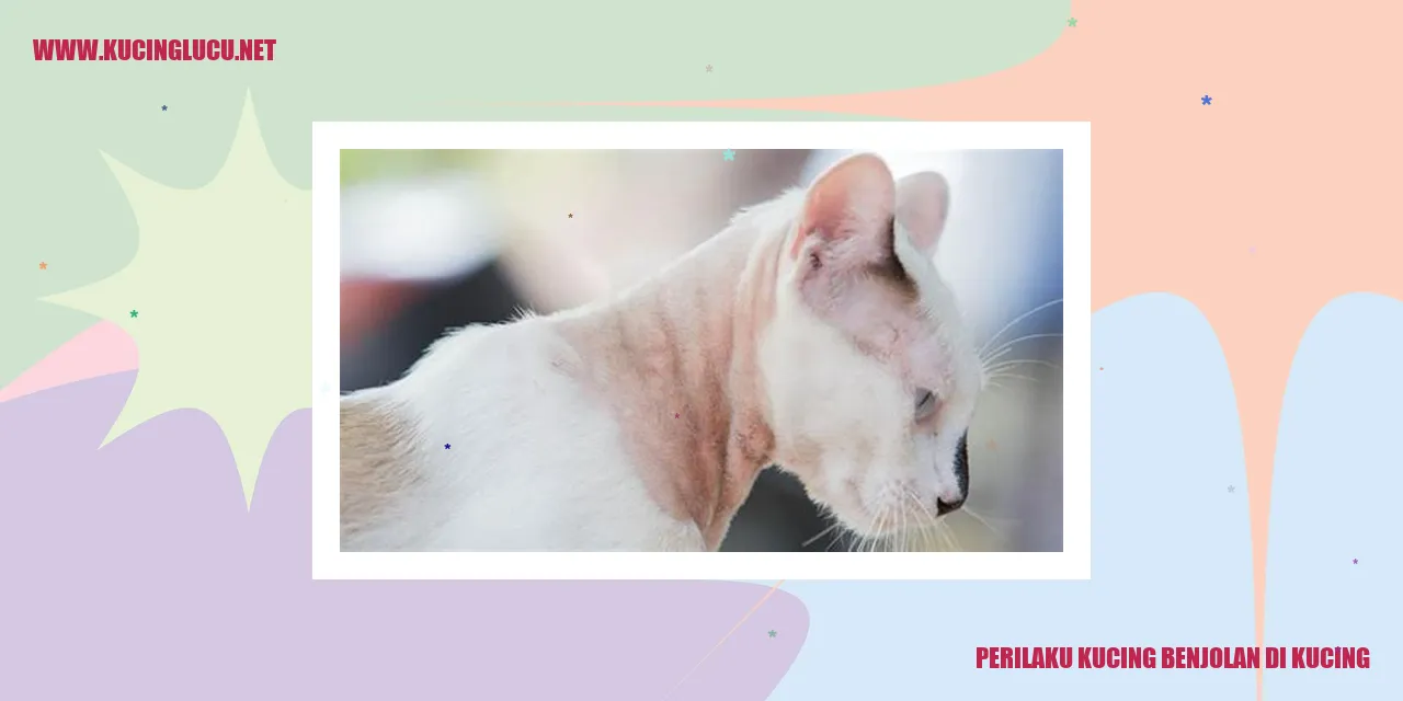 Perilaku Kucing Benjolan di Kucing