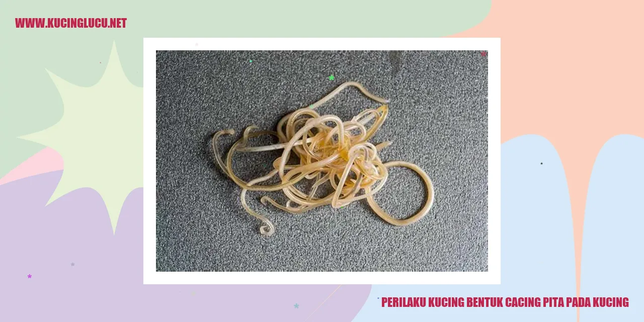 Perilaku Kucing bentuk cacing pita pada kucing