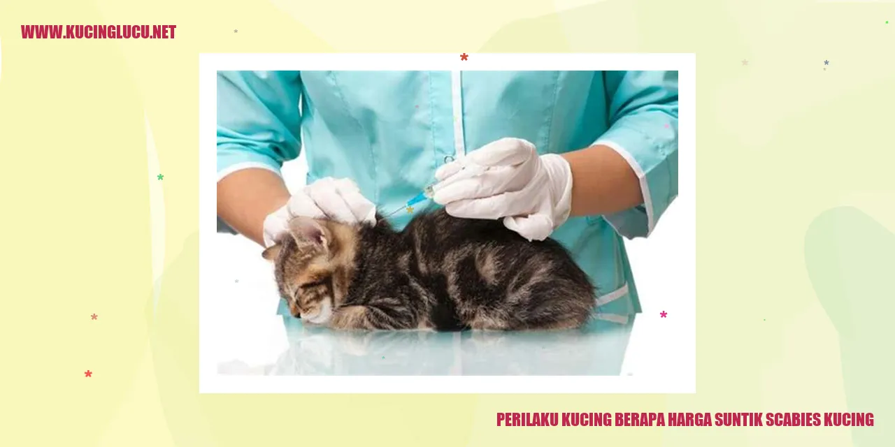 Kucing yang Menggaruk-garuk