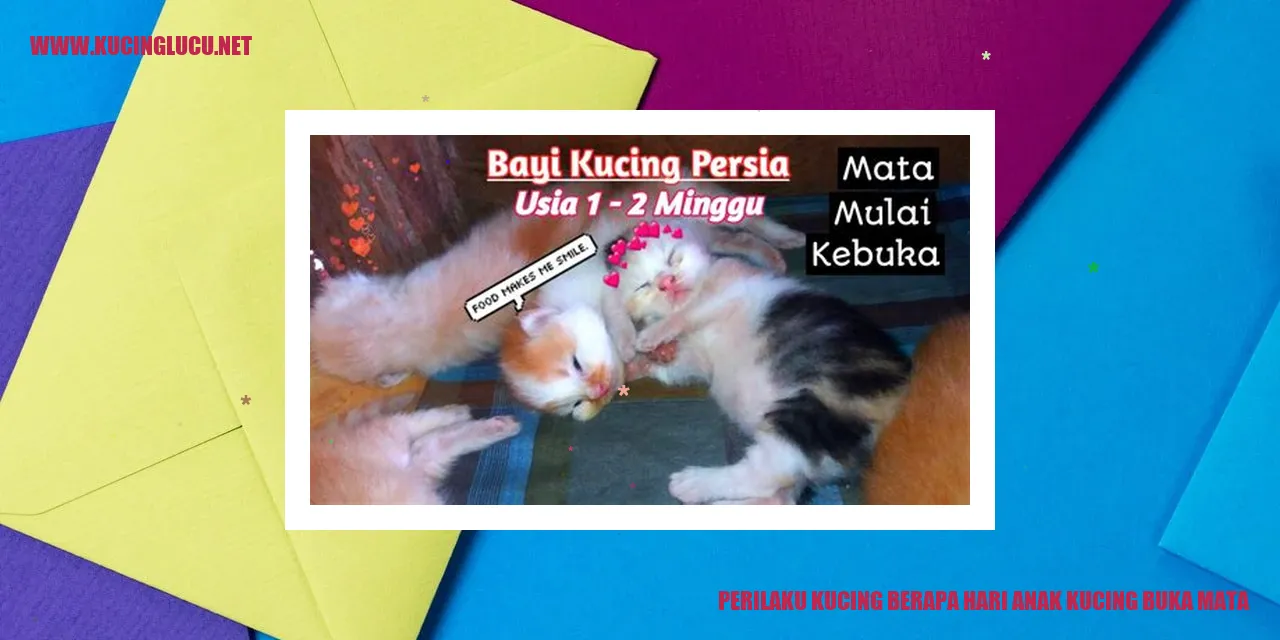 Kucing Buka Mata