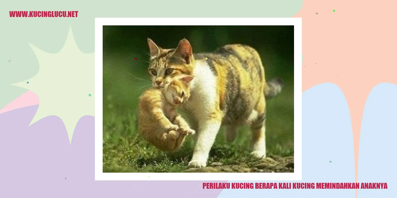 Gambar Kucing dengan Anaknya