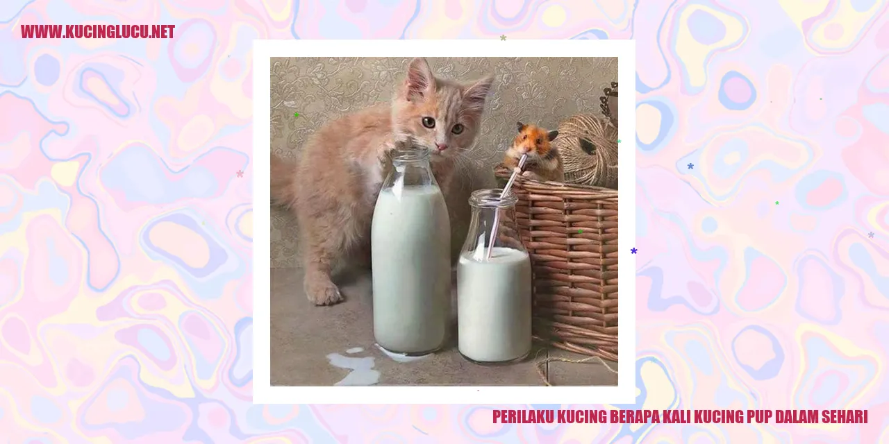 Gambar seekor kucing sedang melakukan buang air besar