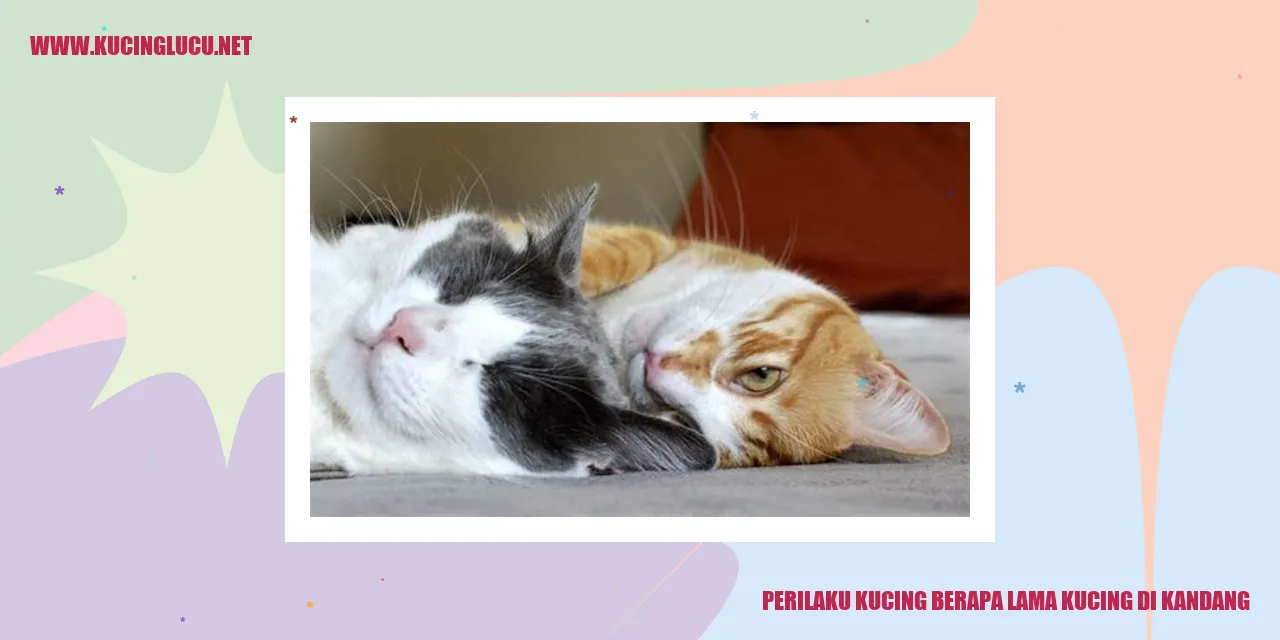 Perilaku Kucing di Kandang