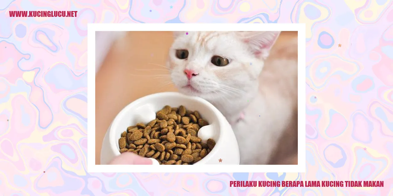 Perilaku Kucing tidak makan