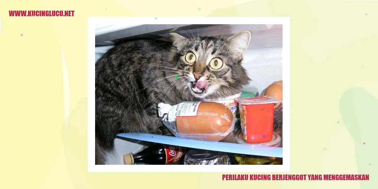 Perilaku Kucing Berjenggot yang Menggemaskan